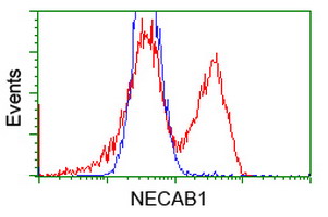 HEK293T cells transfected with either overexpress plasmid (Red) or empty vector control plasmid (Blue) were immunostained by anti-NECAB1 antibody, and then analyzed by flow cytometry.
