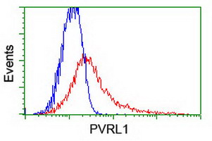 HEK293T cells transfected with either overexpress plasmid (Red) or empty vector control plasmid (Blue) were immunostained by anti-PVRL1 antibody, and then analyzed by flow cytometry.