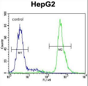 SERPINI1 Antibody flow cytometry of HepG2 cells (right histogram) compared to a negative control cell (left histogram). FITC-conjugated goat-anti-rabbit secondary antibodies were used for the analysis.