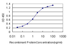 Detection limit for recombinant GST tagged OCRL is approximately 0.1 ng/ml as a capture antibody.