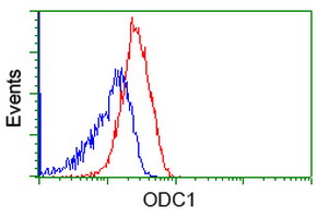 Flow cytometry of Jurkat cells, using anti-ODC1 antibody, (Red), compared to a nonspecific negative control antibody, (Blue).