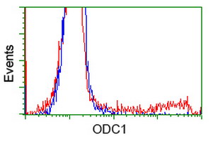 HEK293T cells transfected with either overexpress plasmid (Red) or empty vector control plasmid (Blue) were immunostained by anti-ODC1 antibody, and then analyzed by flow cytometry.