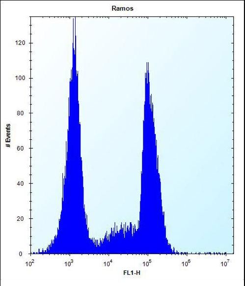 OR10G9 Antibody flow cytometry of Ramos cells (right histogram) compared to a negative control cell (left histogram). FITC-conjugated donkey-anti-rabbit secondary antibodies were used for the analysis.