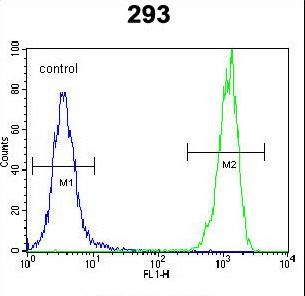 OR10H1 Antibody flow cytometry of 293 cells (right histogram) compared to a negative control cell (left histogram). FITC-conjugated goat-anti-rabbit secondary antibodies were used for the analysis.