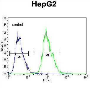 OR4K5 Antibody flow cytometry of HepG2 cells (right histogram) compared to a negative control cell (left histogram). FITC-conjugated goat-anti-rabbit secondary antibodies were used for the analysis.