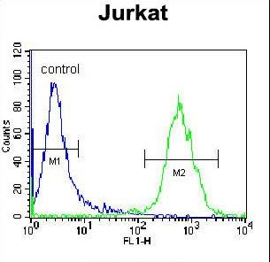 OR4N4 Antibody flow cytometry of Jurkat cells (right histogram) compared to a negative control cell (left histogram). FITC-conjugated donkey-anti-rabbit secondary antibodies were used for the analysis.