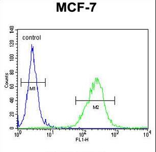 OR6C4 Antibody flow cytometry of MCF-7 cells (right histogram) compared to a negative control cell (left histogram). FITC-conjugated goat-anti-rabbit secondary antibodies were used for the analysis.