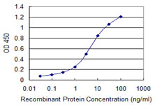 Detection limit for recombinant GST tagged ORC3L is 0.03 ng/ml as a capture antibody.