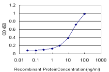Detection limit for recombinant GST tagged ORC4L is approximately 1 ng/ml as a capture antibody.