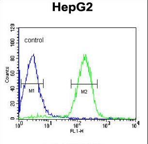 ORM1 Antibody flow cytometry of HepG2 cells (right histogram) compared to a negative control cell (left histogram). FITC-conjugated goat-anti-rabbit secondary antibodies were used for the analysis.