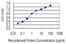 Detection limit for recombinant GST tagged OSBP is 0.03 ng/ml as a capture antibody.
