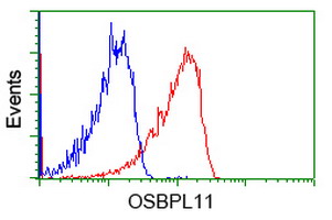 Flow cytometry of Jurkat cells, using anti-OSBPL11 antibody, (Red), compared to a nonspecific negative control antibody, (Blue).