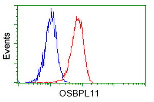 Flow cytometry of HeLa cells, using anti-OSBPL11 antibody, (Red), compared to a nonspecific negative control antibody, (Blue).