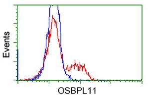 HEK293T cells transfected with either overexpress plasmid (Red) or empty vector control plasmid (Blue) were immunostained by anti-OSBPL11 antibody, and then analyzed by flow cytometry.