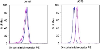 Staining of the Jurkat (left) and A375 (right) cell lines with PE Mouse IgG1, K isotype control (blue histogram) or PE Anti-human oncostatin M receptor (OSMR) (purple histogram). Total viable cells were used for analysis.