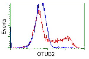 HEK293T cells transfected with either overexpress plasmid (Red) or empty vector control plasmid (Blue) were immunostained by anti-OTUB2 antibody, and then analyzed by flow cytometry.