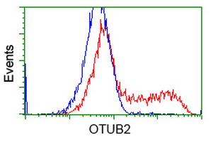 HEK293T cells transfected with either overexpress plasmid (Red) or empty vector control plasmid (Blue) were immunostained by anti-OTUB2 antibody, and then analyzed by flow cytometry.