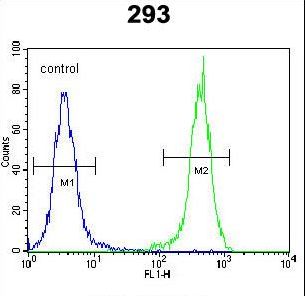 OTUD6B Antibody flow cytometry of 293 cells (right histogram) compared to a negative control cell (left histogram). FITC-conjugated goat-anti-rabbit secondary antibodies were used for the analysis.