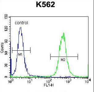 OXA1L Antibody flow cytometry of K562 cells (right histogram) compared to a negative control cell (left histogram). FITC-conjugated donkey-anti-rabbit secondary antibodies were used for the analysis.