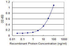 Detection limit for recombinant GST tagged OGN is 0.3 ng/ml as a capture antibody.