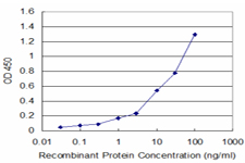 Detection limit for recombinant GST tagged P2RX5 is approximately 1 ng/ml as a capture antibody.