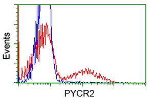 HEK293T cells transfected with either overexpress plasmid (Red) or empty vector control plasmid (Blue) were immunostained by anti-PYCR2 antibody, and then analyzed by flow cytometry.