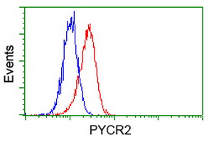 Flow cytometry of HeLa cells, using anti-PYCR2 antibody, (Red), compared to a nonspecific negative control antibody, (Blue).