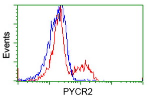 HEK293T cells transfected with either overexpress plasmid (Red) or empty vector control plasmid (Blue) were immunostained by anti-PYCR2 antibody, and then analyzed by flow cytometry.