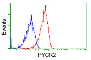 Flow cytometry of Jurkat cells, using anti-PYCR2 antibody, (Red), compared to a nonspecific negative control antibody, (Blue).