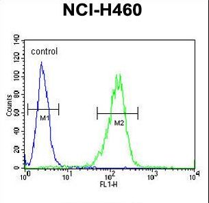 Sestrin-1 Antibody flow cytometry of NCI-H460 cells (right histogram) compared to a negative control cell (left histogram). FITC-conjugated goat-anti-rabbit secondary antibodies were used for the analysis.