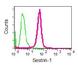 Flow cytometry of permeabilized K562 cells using anti-Sestrin-1 antibody (red)or a rabbit IgG (negative) (green).