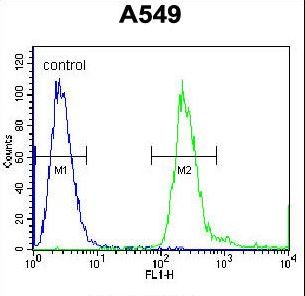 PABPN1L Antibody flow cytometry of A549 cells (right histogram) compared to a negative control cell (left histogram). FITC-conjugated goat-anti-rabbit secondary antibodies were used for the analysis.