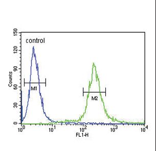 ADCYAP1 Antibody flow cytometry of 293 cells (right histogram) compared to a negative control cell (left histogram). FITC-conjugated goat-anti-rabbit secondary antibodies were used for the analysis.