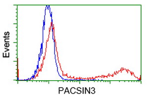 HEK293T cells transfected with either overexpress plasmid (Red) or empty vector control plasmid (Blue) were immunostained by anti-PACSIN3 antibody, and then analyzed by flow cytometry.