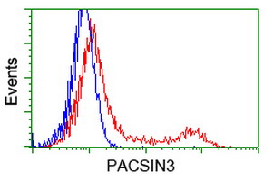 HEK293T cells transfected with either overexpress plasmid (Red) or empty vector control plasmid (Blue) were immunostained by anti-PACSIN3 antibody, and then analyzed by flow cytometry.