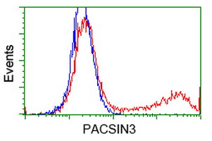 HEK293T cells transfected with either overexpress plasmid (Red) or empty vector control plasmid (Blue) were immunostained by anti-PACSIN3 antibody, and then analyzed by flow cytometry.