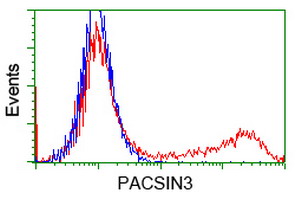 HEK293T cells transfected with either overexpress plasmid (Red) or empty vector control plasmid (Blue) were immunostained by anti-PACSIN3 antibody, and then analyzed by flow cytometry.