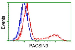 HEK293T cells transfected with either overexpress plasmid (Red) or empty vector control plasmid (Blue) were immunostained by anti-PACSIN3 antibody, and then analyzed by flow cytometry.