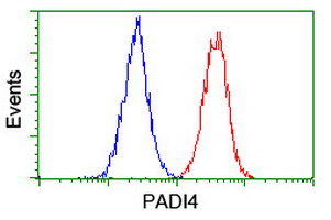 Flow cytometry of Jurkat cells, using anti-PADI4 antibody (Red), compared to a nonspecific negative control antibody (Blue).