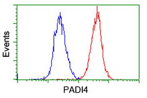Flow cytometry of HeLa cells, using anti-PADI4 antibody (Red), compared to a nonspecific negative control antibody (Blue).