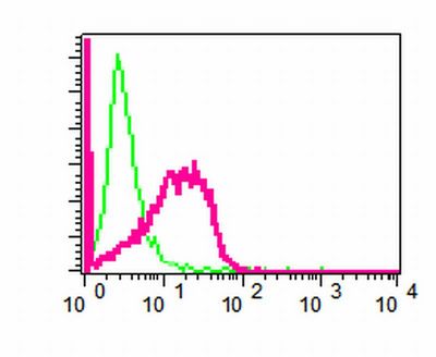 Flow cytometry of permeabilized HeLa cells using anti-LIS1 antibody (red)or a rabbit IgG (negative) (green).