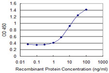 Detection limit for recombinant GST tagged PAFAH2 is 0.3 ng/ml as a capture antibody.