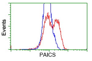 HEK293T cells transfected with either overexpress plasmid (Red) or empty vector control plasmid (Blue) were immunostained by anti-PAICS antibody, and then analyzed by flow cytometry.