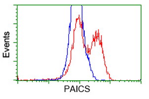 HEK293T cells transfected with either overexpress plasmid (Red) or empty vector control plasmid (Blue) were immunostained by anti-PAICS antibody, and then analyzed by flow cytometry.
