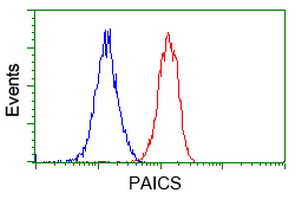 Flow cytometry of Jurkat cells, using anti-PAICS antibody, (Red), compared to a nonspecific negative control antibody, (Blue).