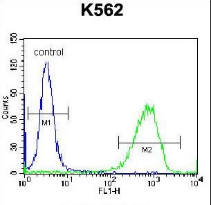 PAICS Antibody flow cytometry of K562 cells (right histogram) compared to a negative control cell (left histogram). FITC-conjugated donkey-anti-rabbit secondary antibodies were used for the analysis.