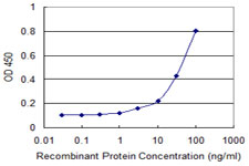 Detection limit for recombinant GST tagged PAIP1 is 1 ng/ml as a capture antibody.