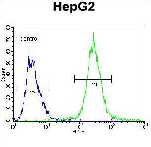 PALB2 Antibody flow cytometry of HepG2 cells (right histogram) compared to a negative control cell (left histogram). FITC-conjugated goat-anti-rabbit secondary antibodies were used for the analysis.