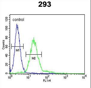 MPP6 Antibody flow cytometry of 293 cells (right histogram) compared to a negative control cell (left histogram). FITC-conjugated goat-anti-rabbit secondary antibodies were used for the analysis.
