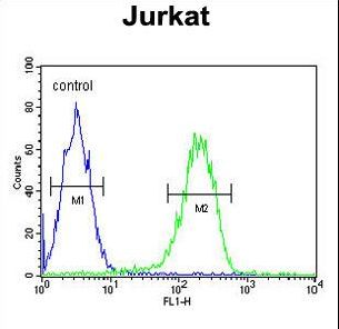 PAN3 Antibody flow cytometry of Jurkat cells (right histogram) compared to a negative control cell (left histogram). FITC-conjugated goat-anti-rabbit secondary antibodies were used for the analysis.